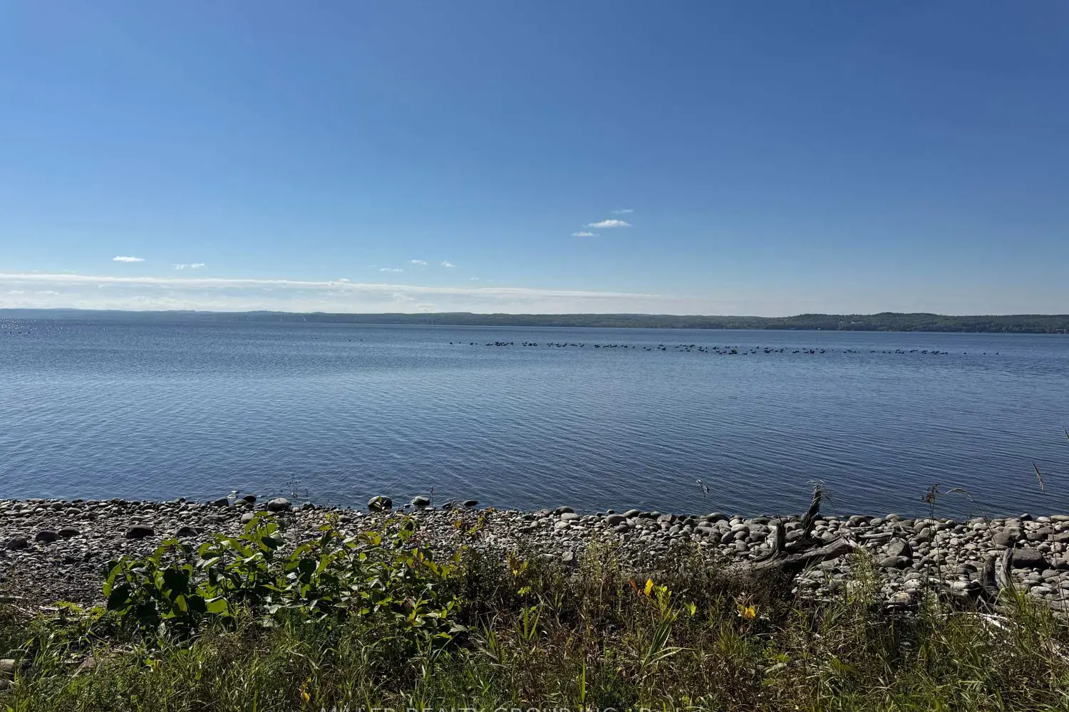 Additional image 6 of 692 Dawson Point Road