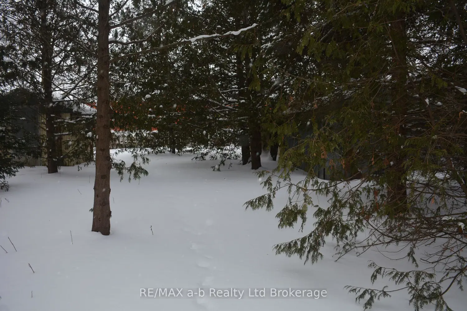 Additional image 9 of 146 Whiting Street