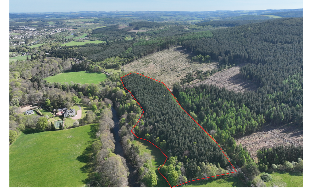 Additional image 8 of Affrusk Woodland, Banchory AB31
