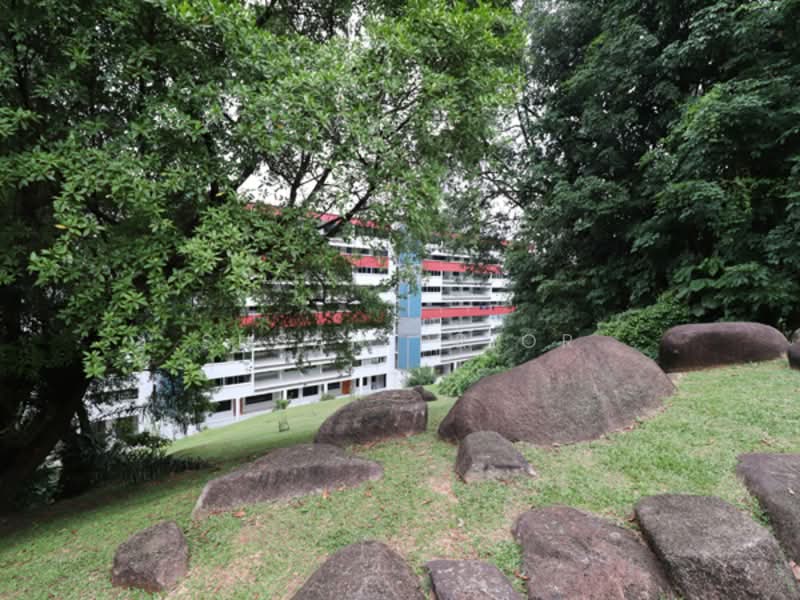Additional image 18 of 129 Marsiling Rise