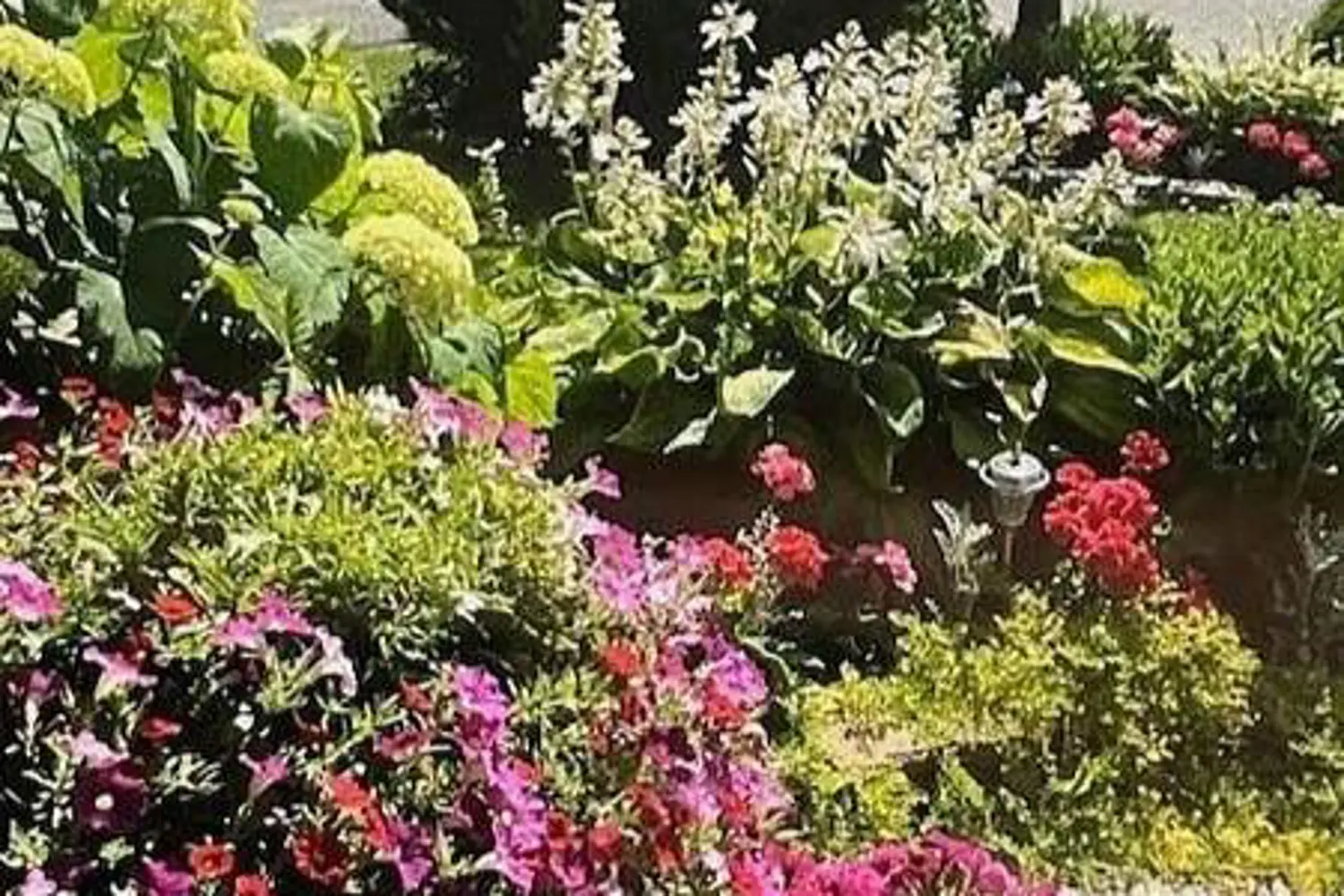 Additional image 18 of 21 Vista Green Crescent, Brampton