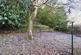 Additional image 15 of 3 Bamff Road, Alyth, Perthshire, PH11