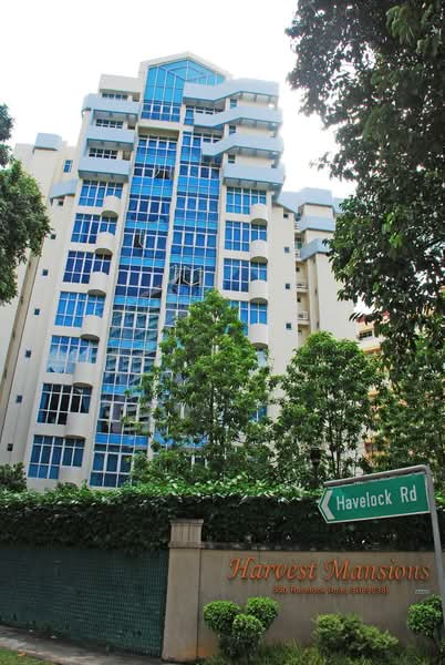 Additional image 10 of 550 Havelock Road