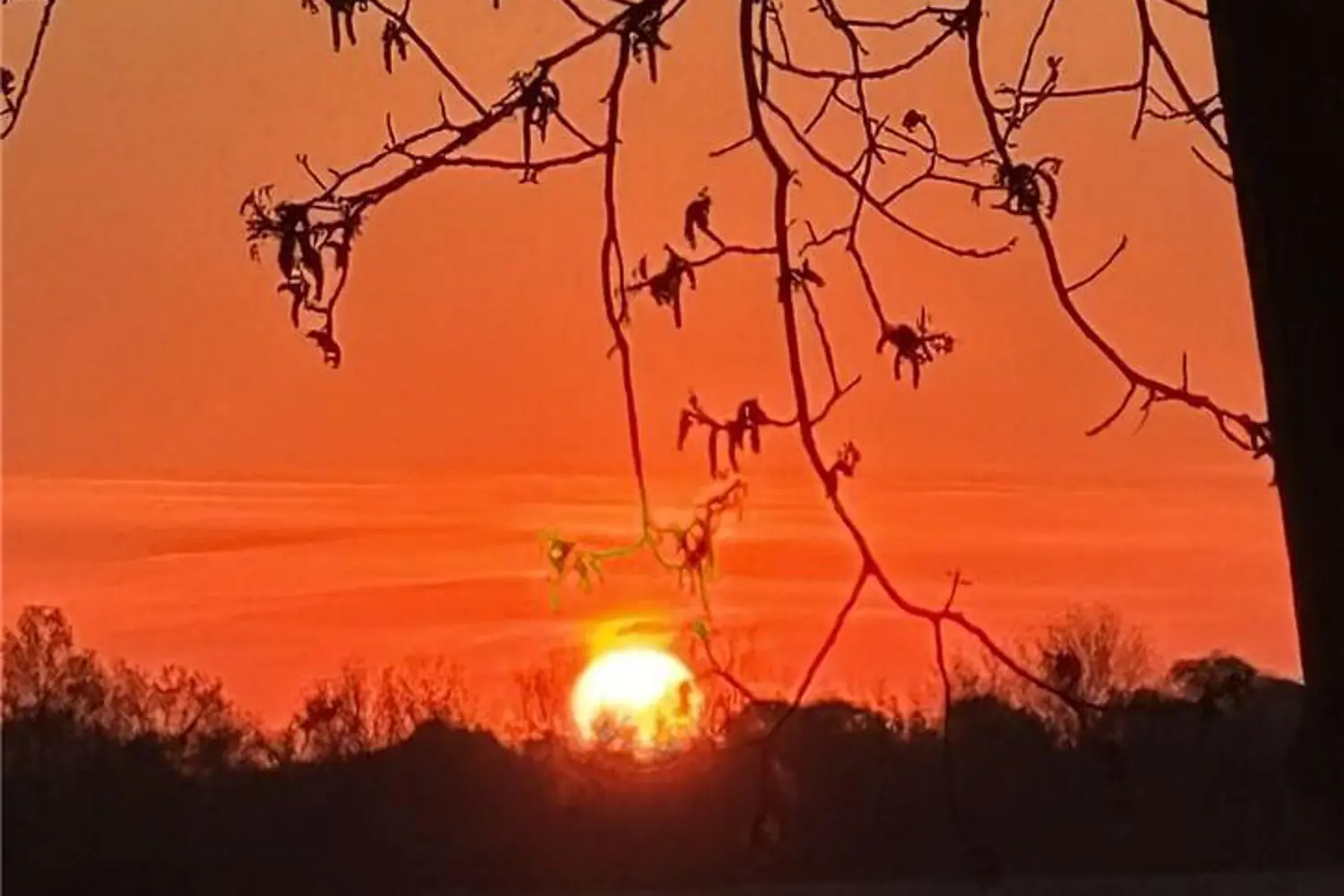 Additional image 14 of 778 Blueline Road