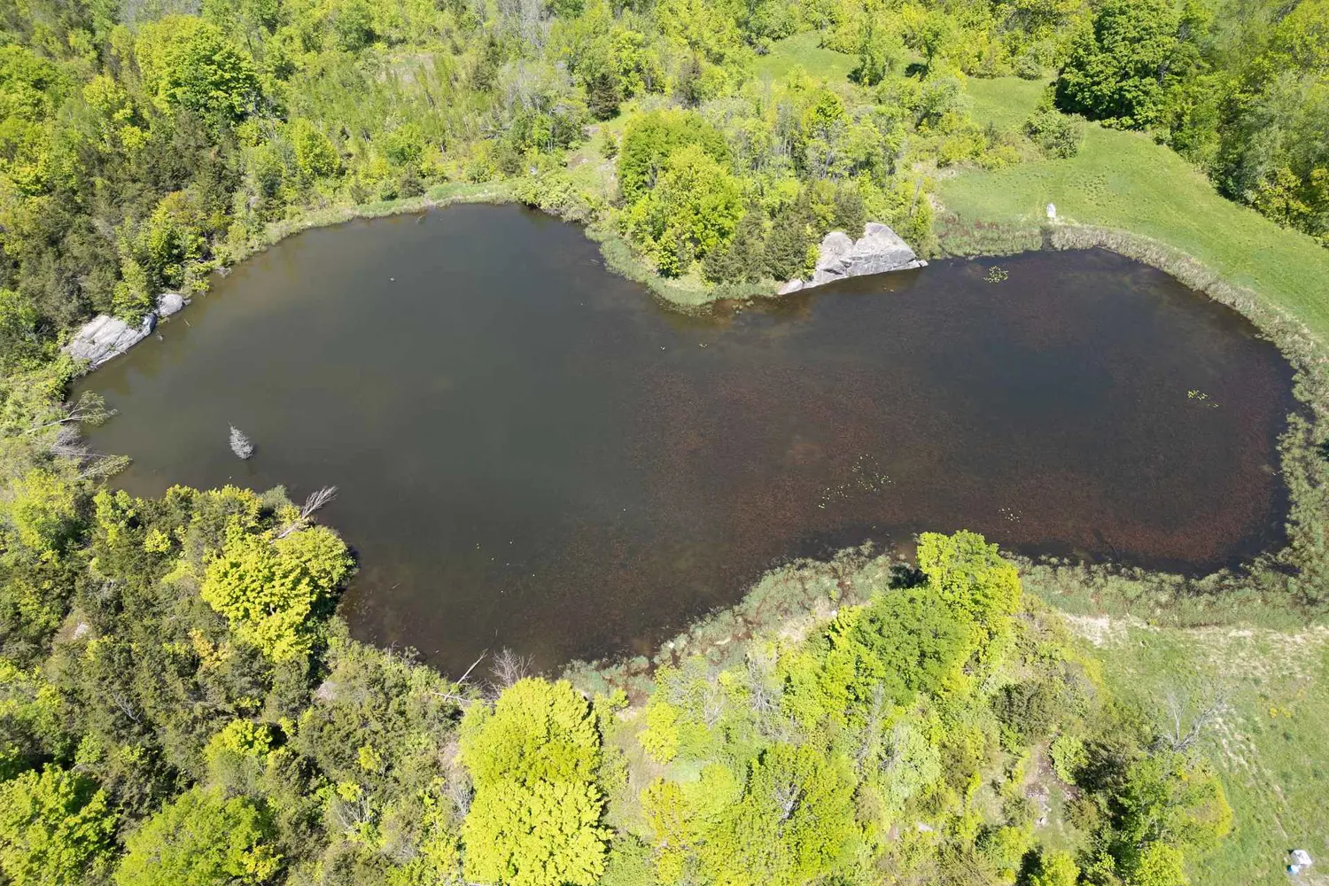 Additional image 16 of 1122 Gananoque Lake Road