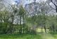 Additional image 9 of Near Llanrothal , Monmouth NP25