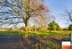 Additional image 43 of Harborne Road, Warley Woods, Oldbury