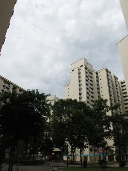 Additional image 11 of 502 Jelapang Road