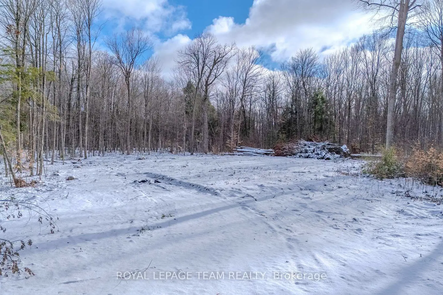 Additional image 6 of 685 Kidd Road, Beckwith
