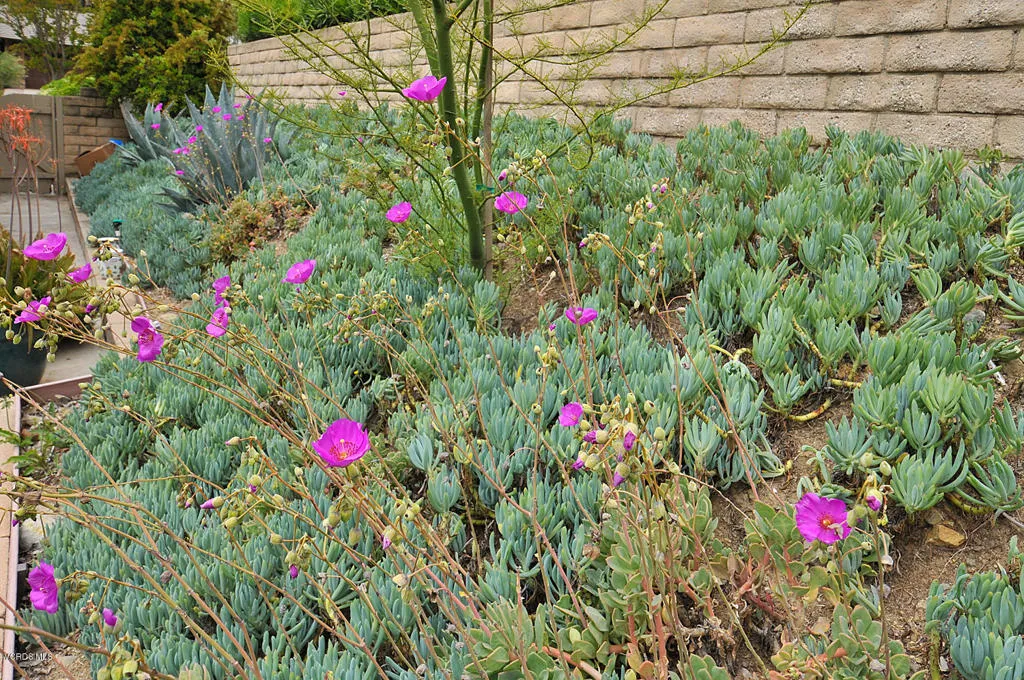 Additional image 26 of 1502 Briarglen Avenue, Westlake Village, CA 91361