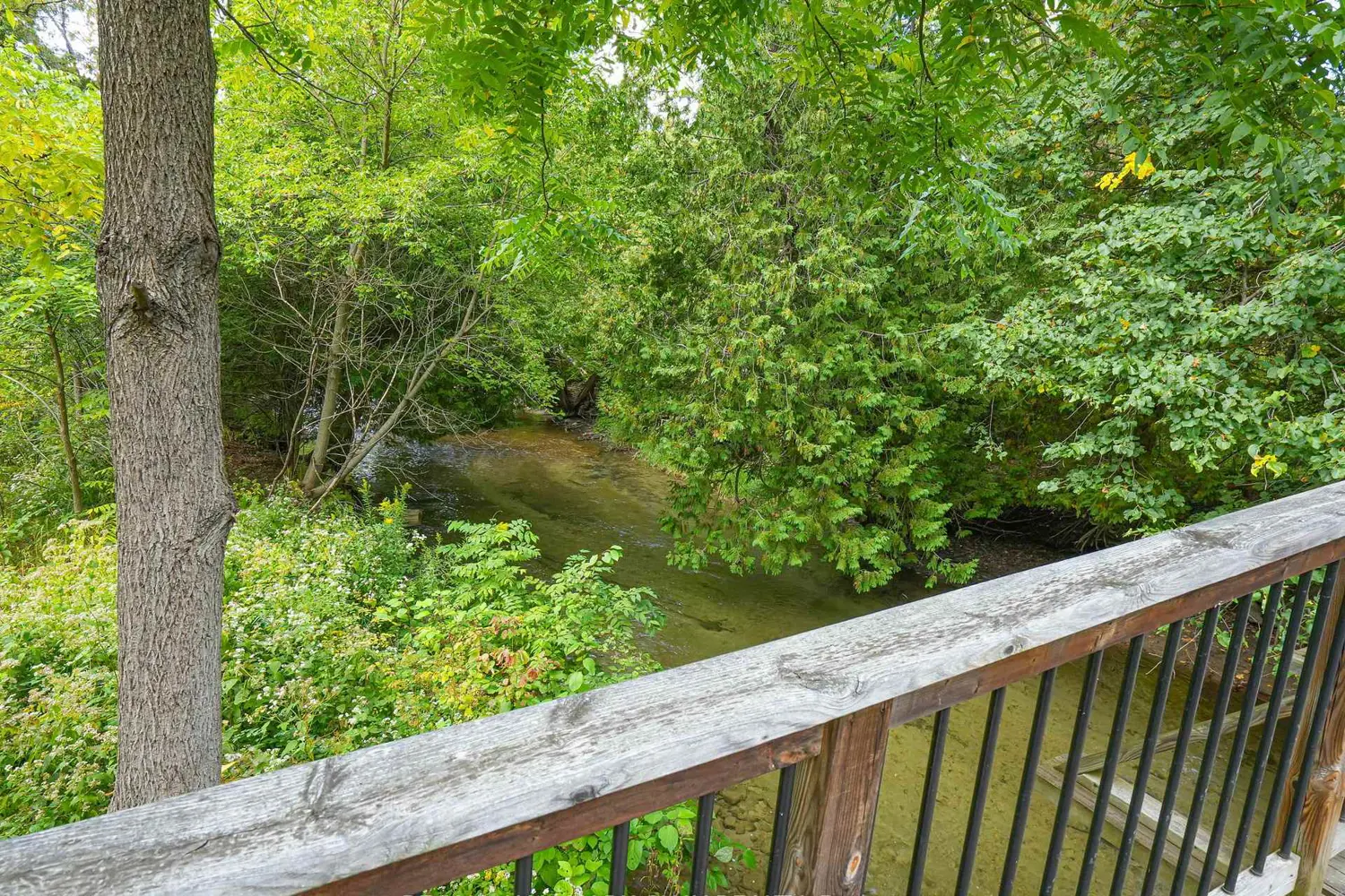 Additional image 19 of 1 Pine River Crescent