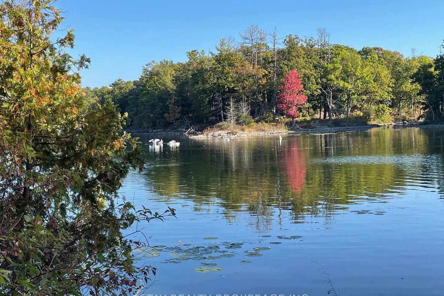 Additional image 7 of 1 Island 60