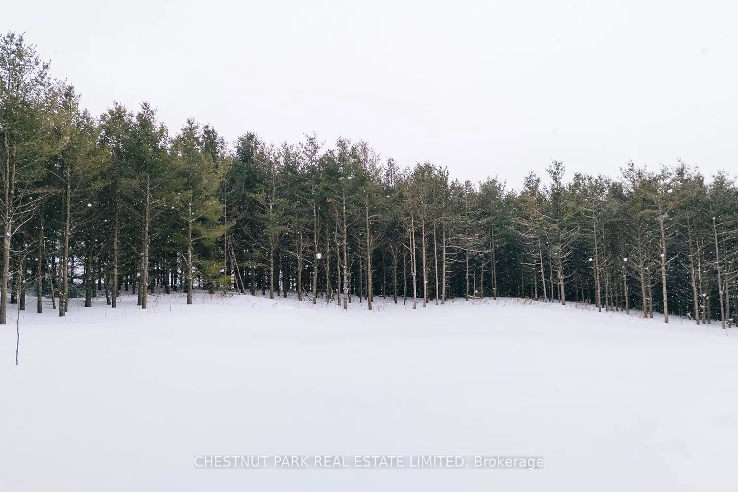 Additional image 18 of 675528 Hurontario Street