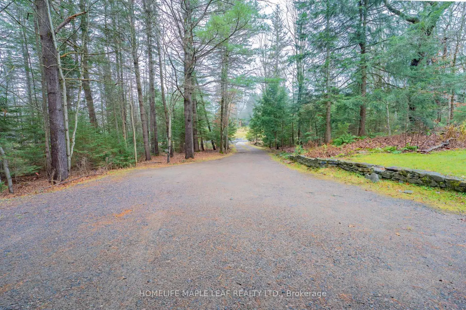 Additional image 18 of 1507 Muskoka District Road 117 Road