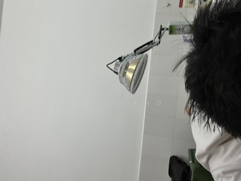 Additional image 5 of Upper Serangoon View