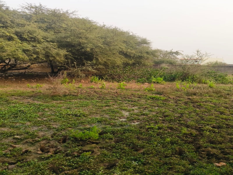 Additional image 2 of Baikunth, Raipur