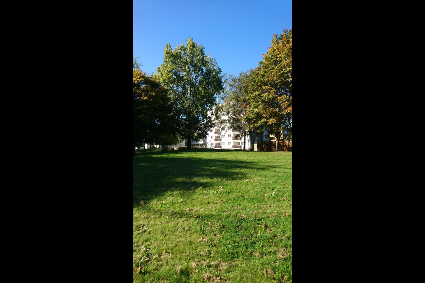 1 Bed Flat, Llewellyn Street, SE16, N1 7GU