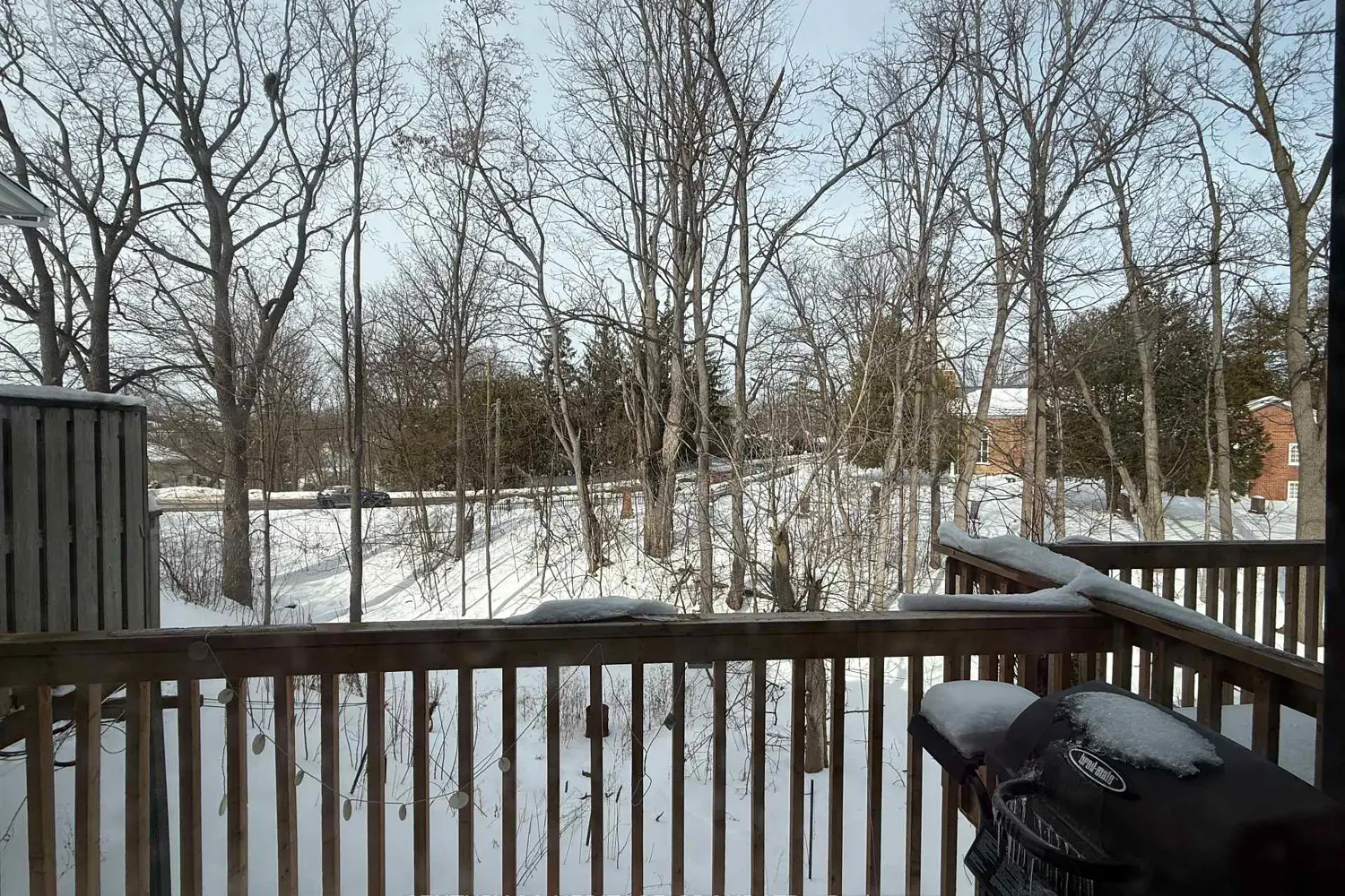 Additional image 16 of 113 North Street 5