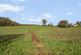Additional image 15 of Thicket Mead, Midsomer Norton, Radstock