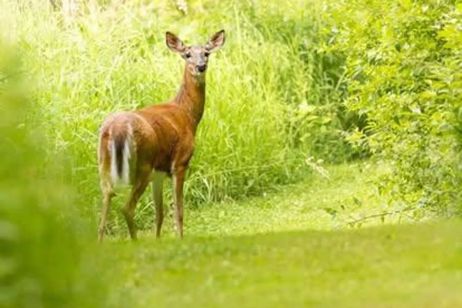 Additional image 4 of 5882 Canborough Road