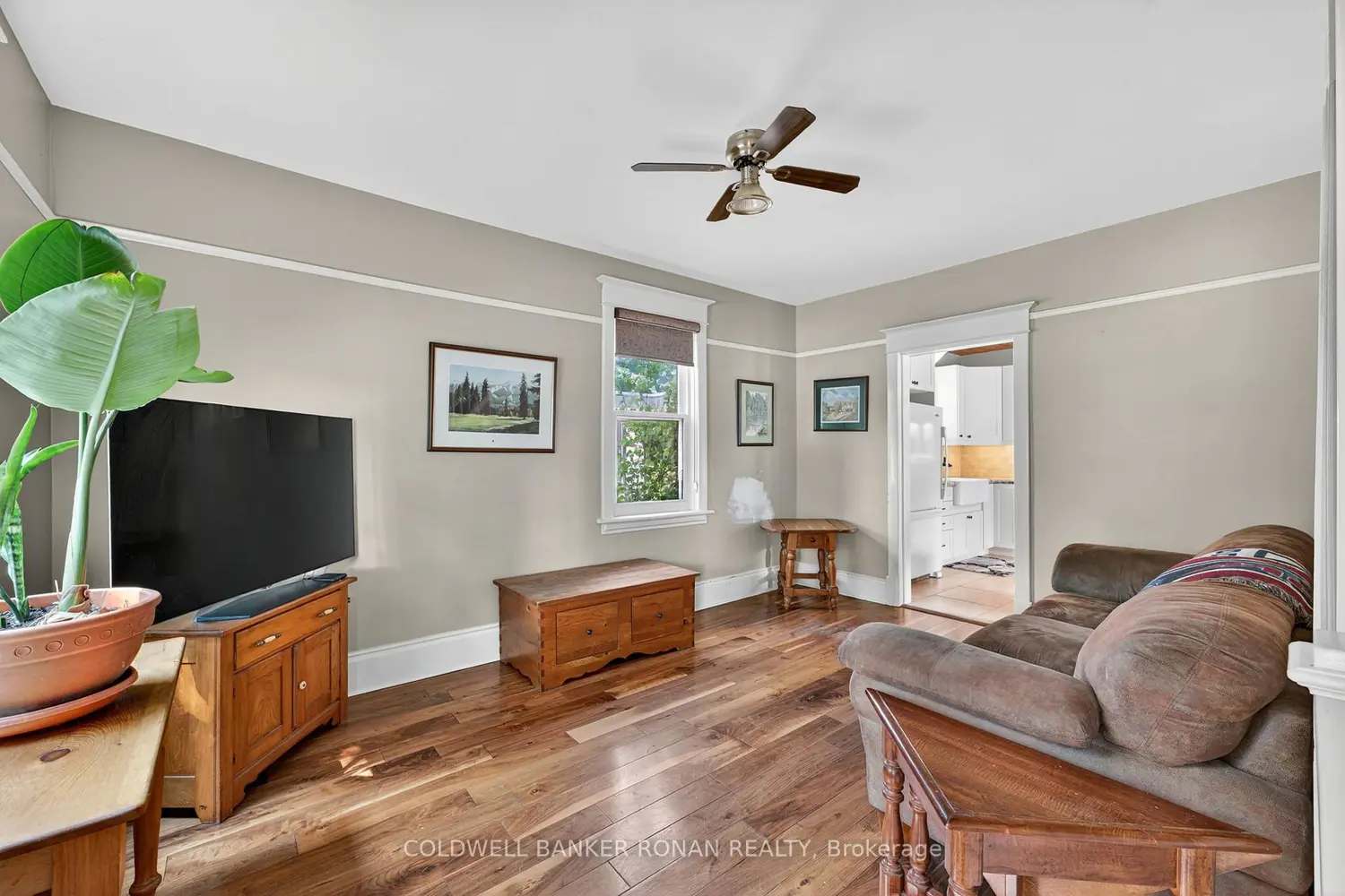 12 Nelson Street photo 4