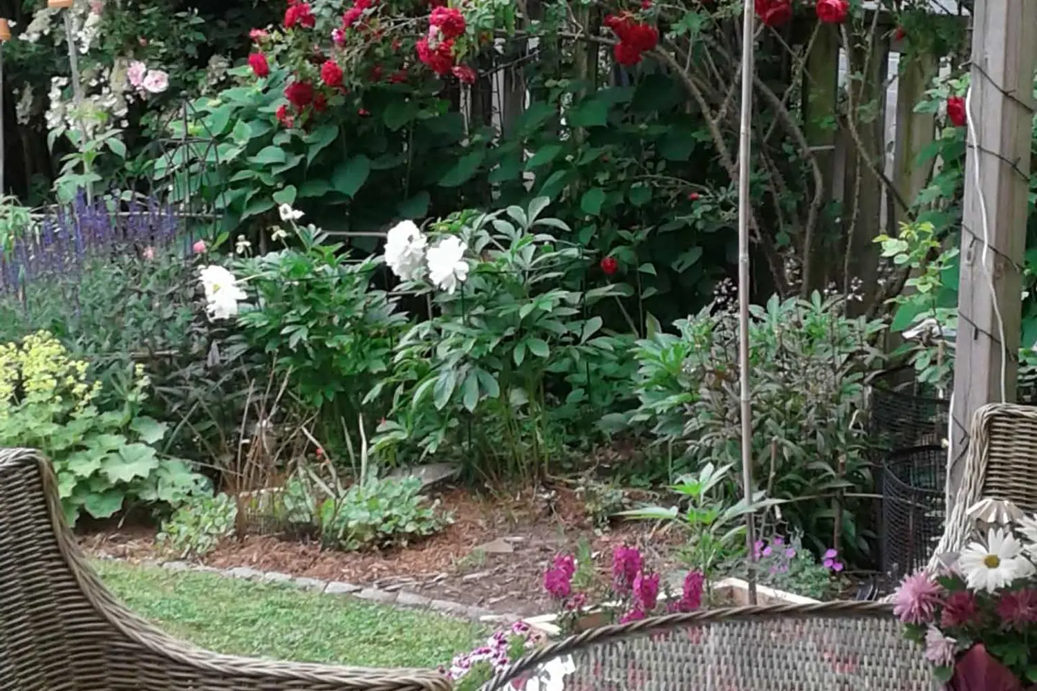 Additional image 19 of 402 Willis Drive