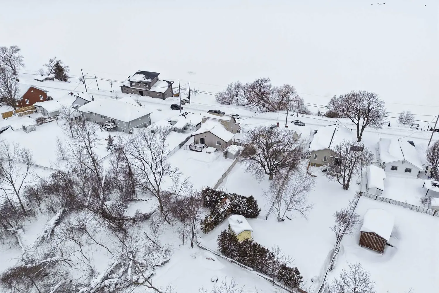 Additional image 15 of 115 Ridley Street