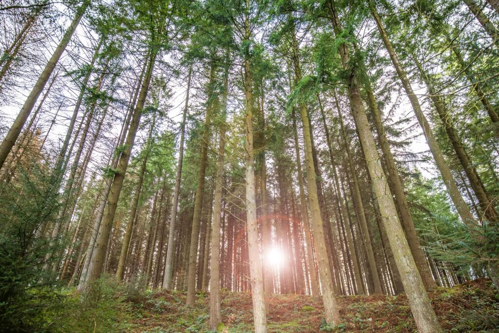 Additional image 17 of Cuthbertson Walk
Bucksburn
Aberdeen
AB21 9HG