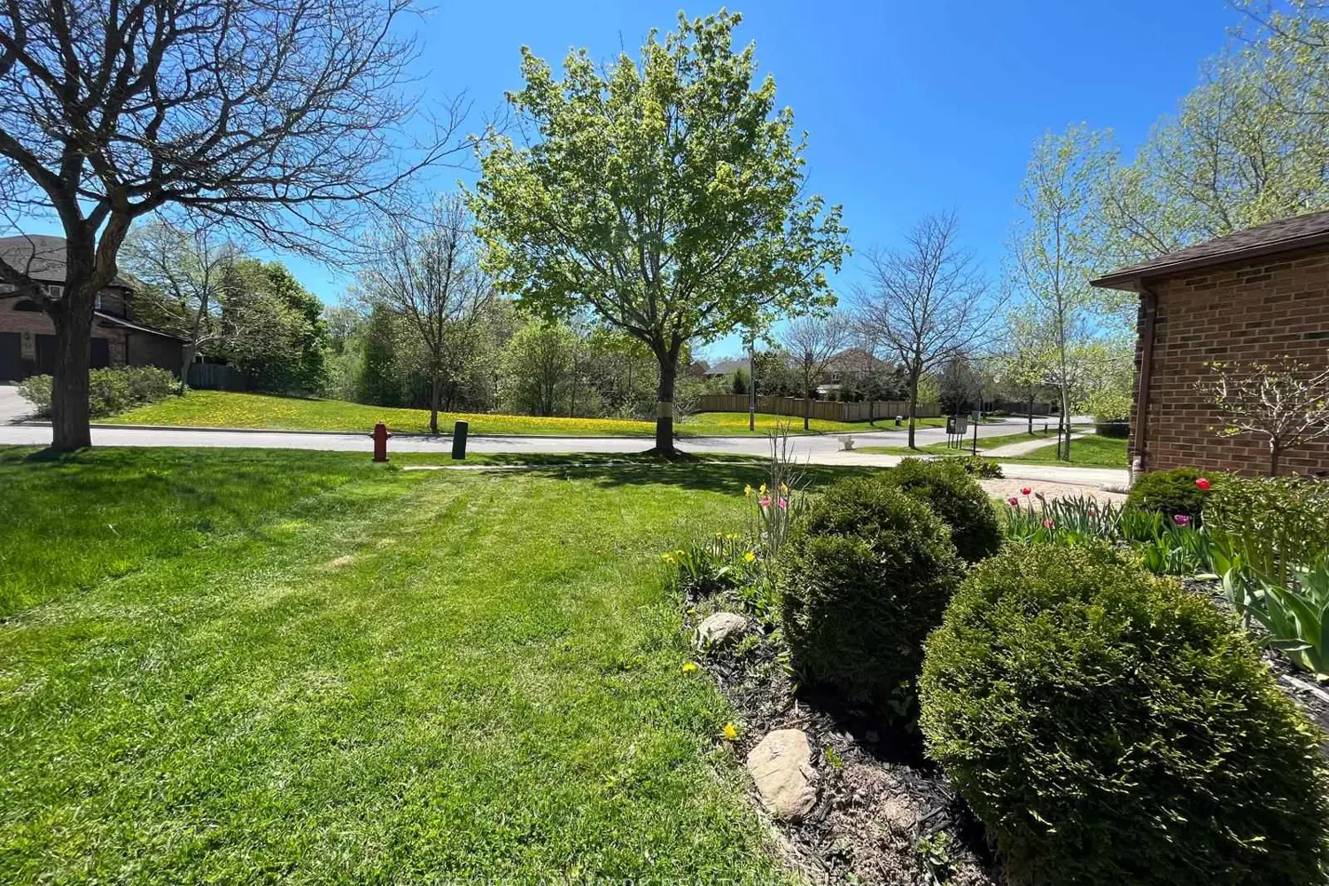 Additional image 18 of 16 Willis Drive