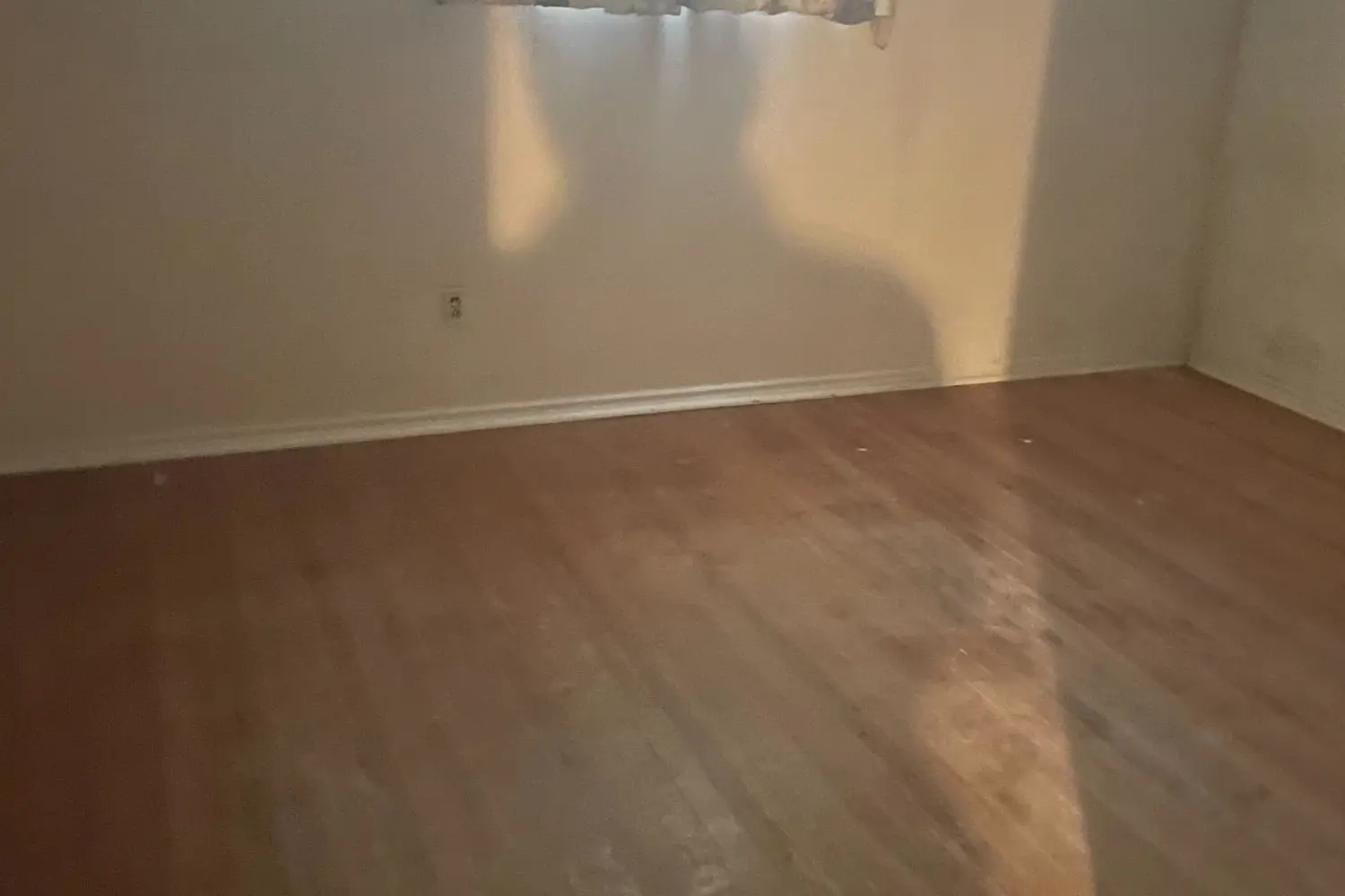 Additional image 16 of 11 Flamingo Crescent