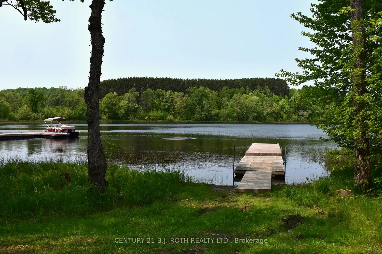 131 Graybow Drive photo 3