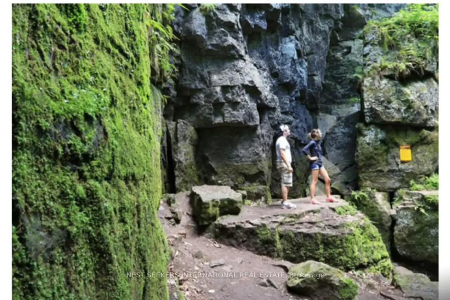 Additional image 9 of 188 Stoneleigh Drive S3a