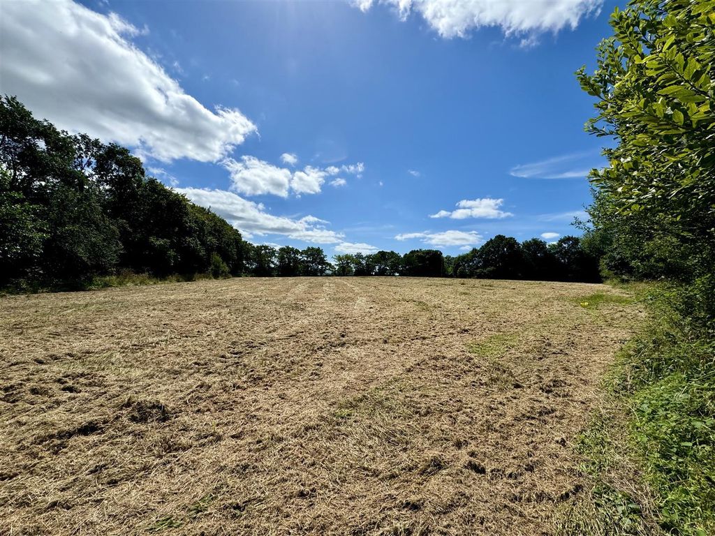 Land for saleSalem, Llandeilo SA19 photo 3