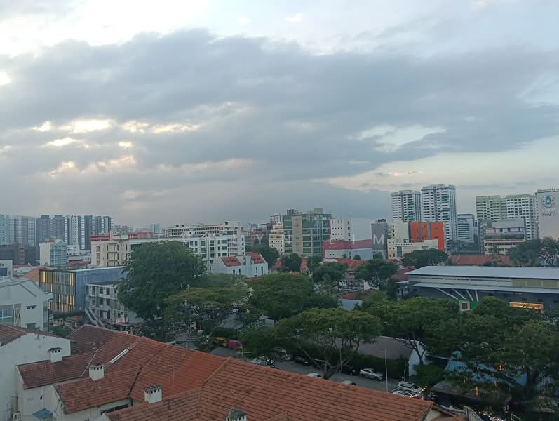 Additional image 4 of 1 Lorong 20 Geylang
