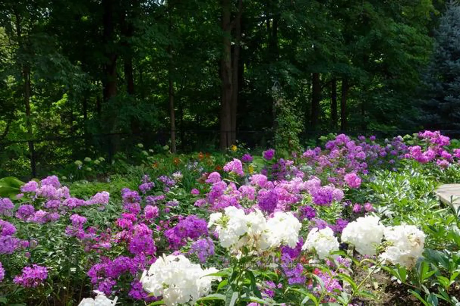 Additional image 15 of 3952 Rolling Valley Drive