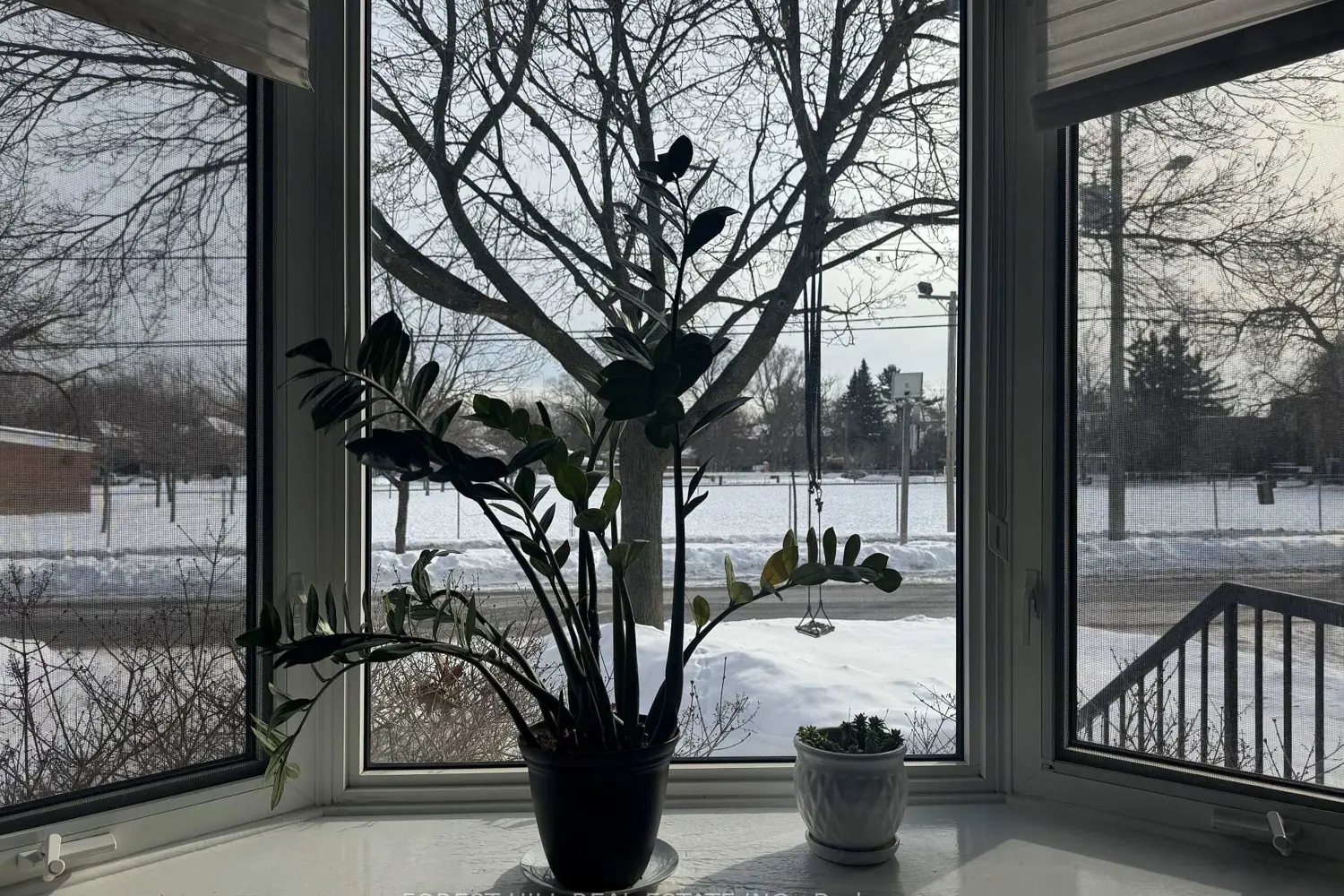 Additional image 6 of 16 Anson Avenue, Toronto