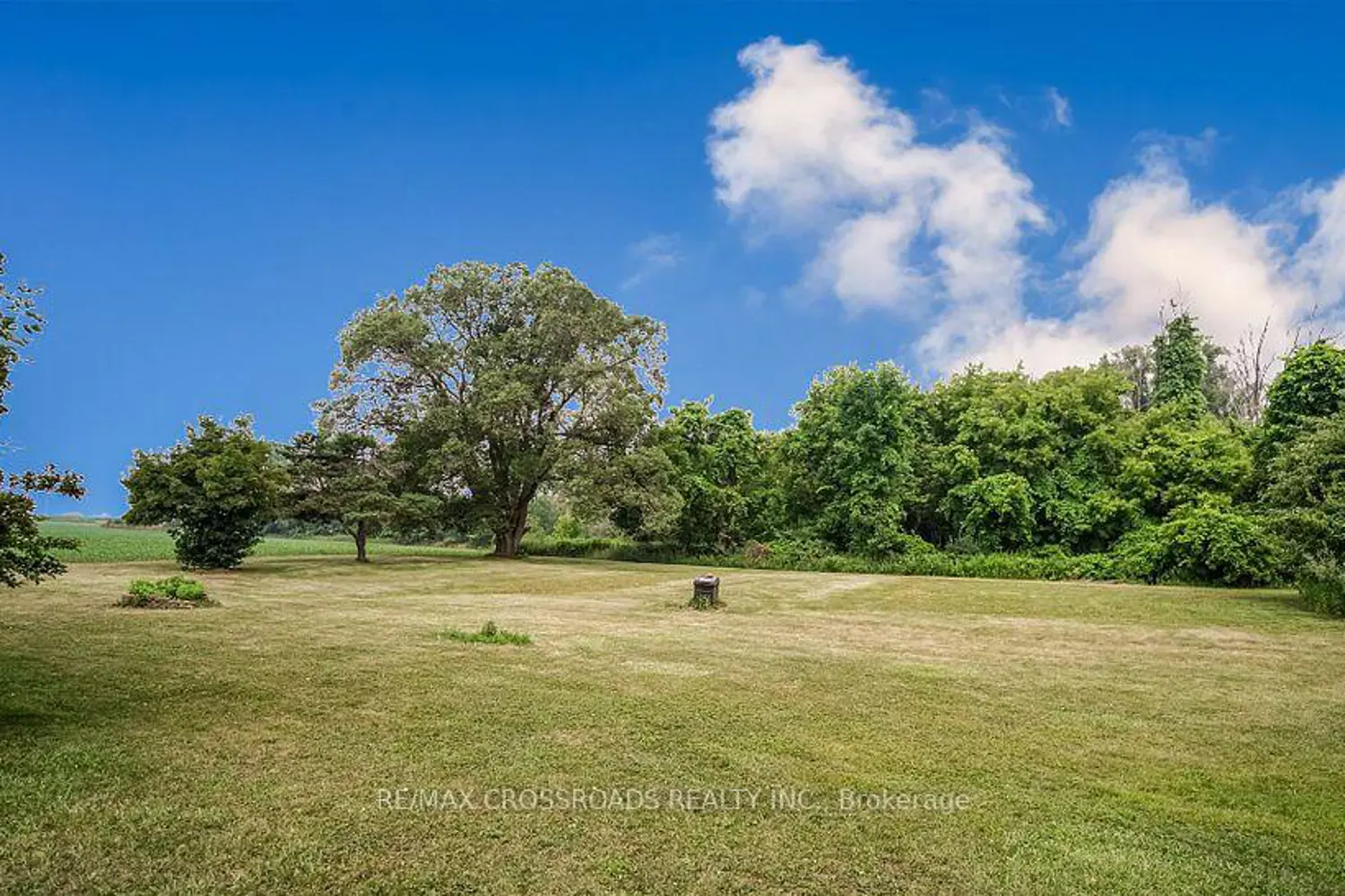 Additional image 19 of 2292 Baseline Road