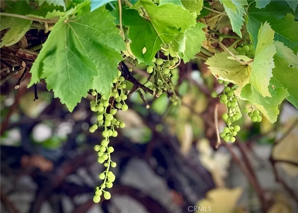 Additional image 81 of 32 Melrose Drive, Mission Viejo, CA 92692