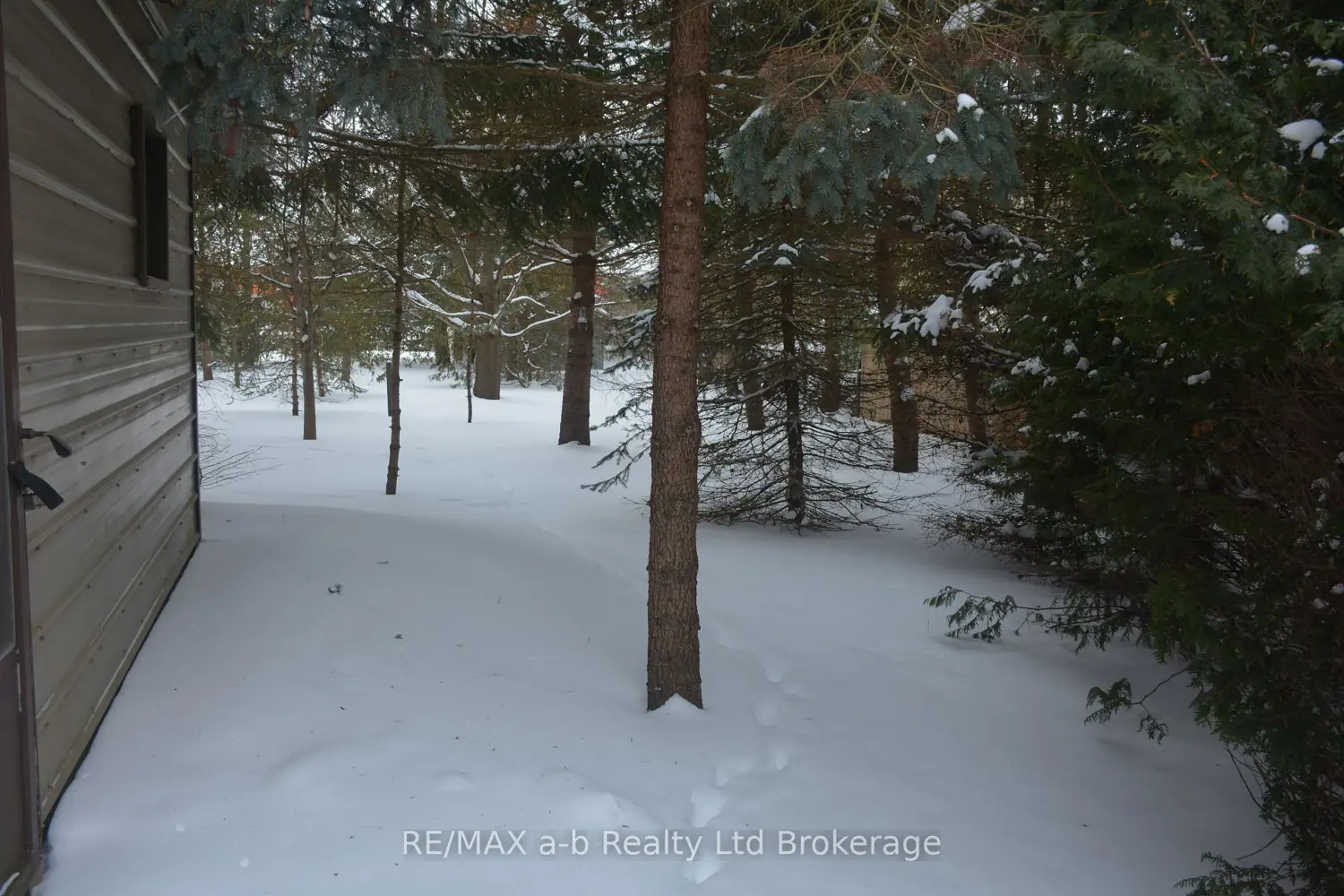 Additional image 6 of 146 Whiting Street