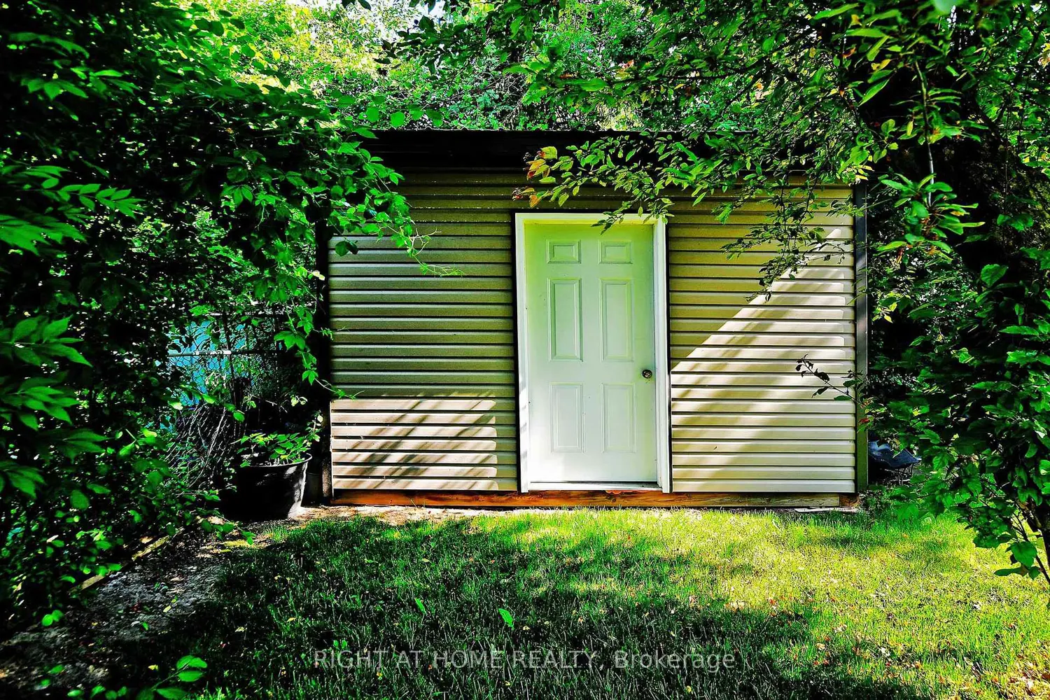 454 Alper Street photo 5