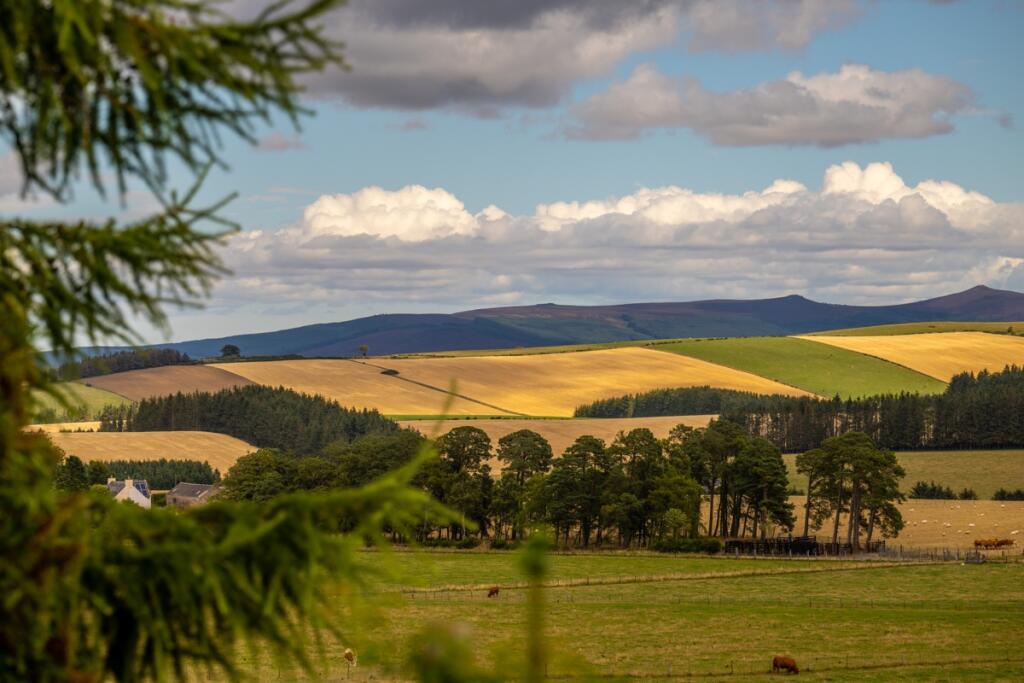 Additional image 34 of Gateside Steading, Lumphanan, Banchory, Kincardineshire