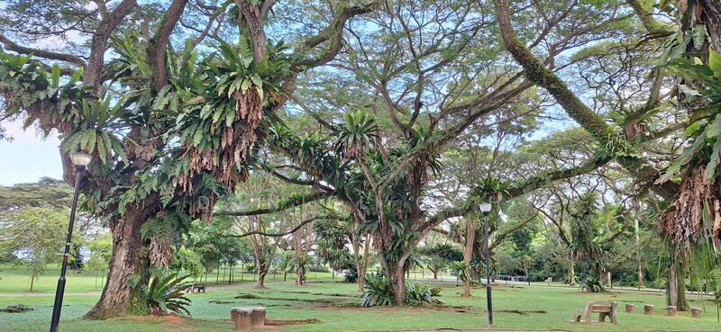 Additional image 4 of Pasir Ris Road