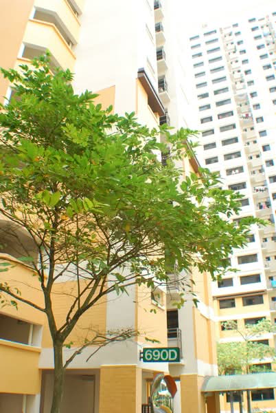 Additional image 9 of 690D Choa Chu Kang Crescent
