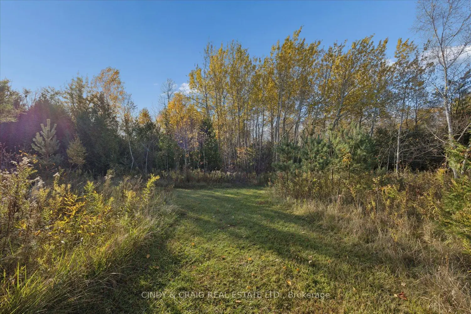 Additional image 15 of 45 Firner Street