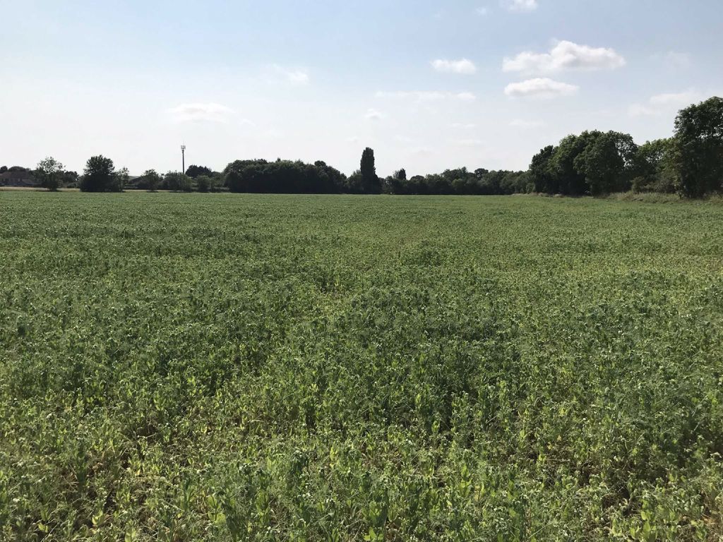 Additional image 4 of Land for saleMill Lane, Gilberdyke, Brough HU15