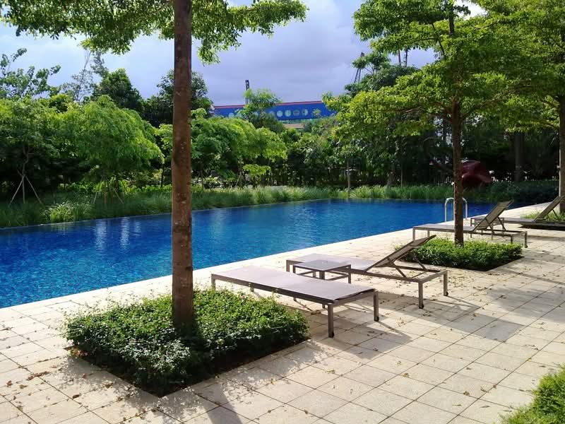 Additional image 29 of 29 Amber Road