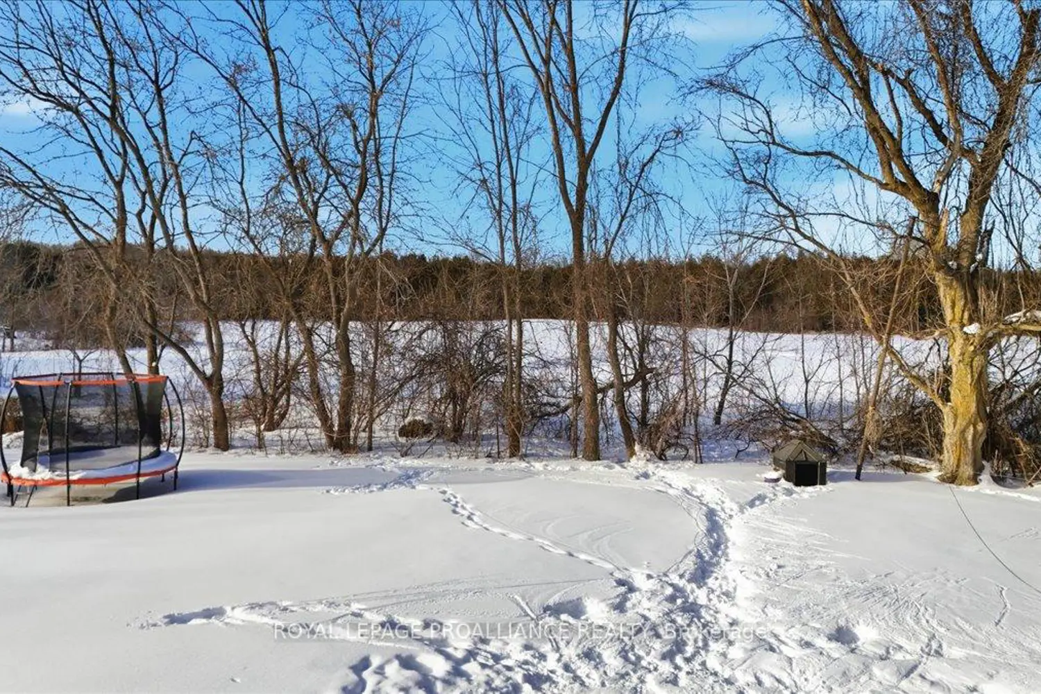 Additional image 16 of 1279 Moira Road