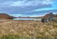 Additional image 21 of Geshader HS2