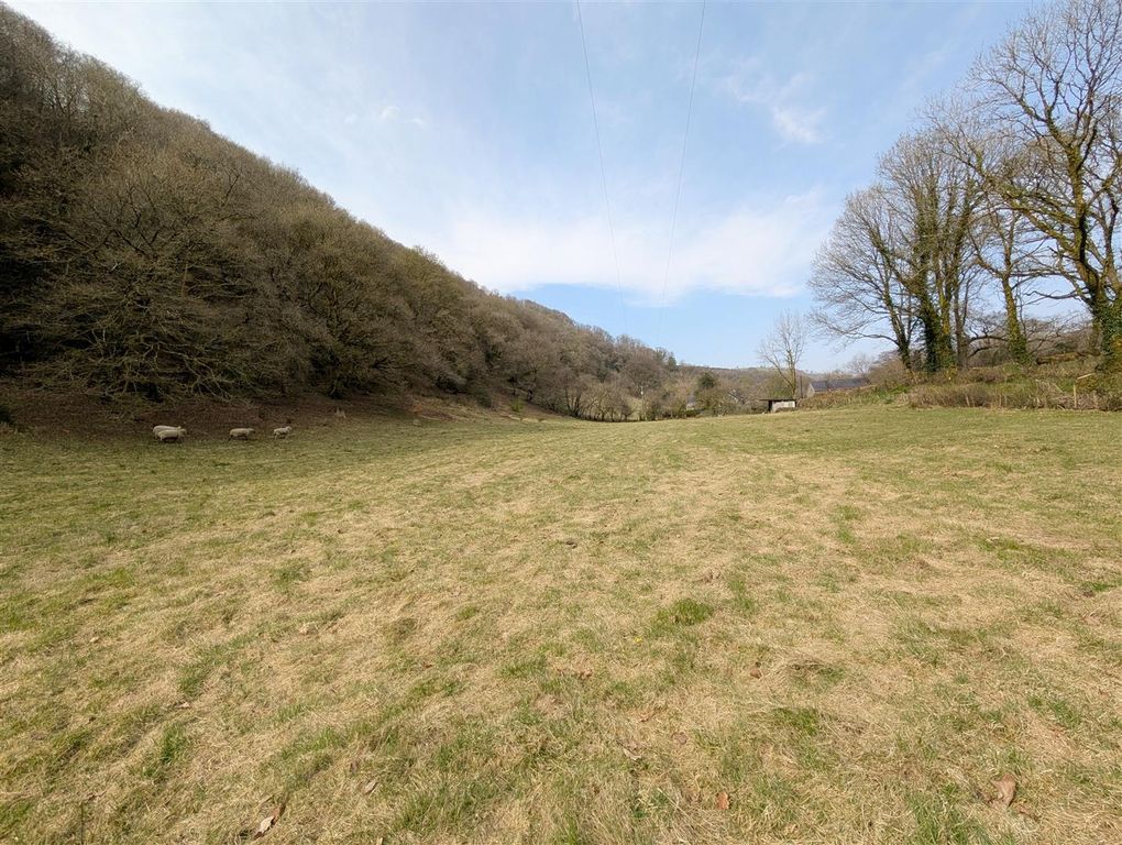 Additional image 49 of 6 bed country house for saleAbergorlech Road, Carmarthen SA32