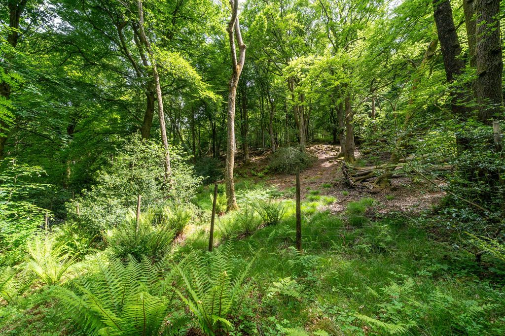 Additional image 31 of 4 bed detached house for saleBeech House, Newby Bridge Road, Windermere LA23
